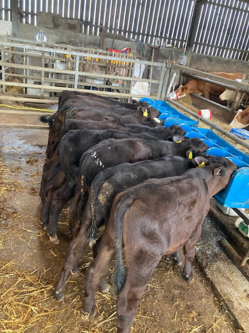 WhatsApp Image 2026-01-23 at 10.00.56 (1)