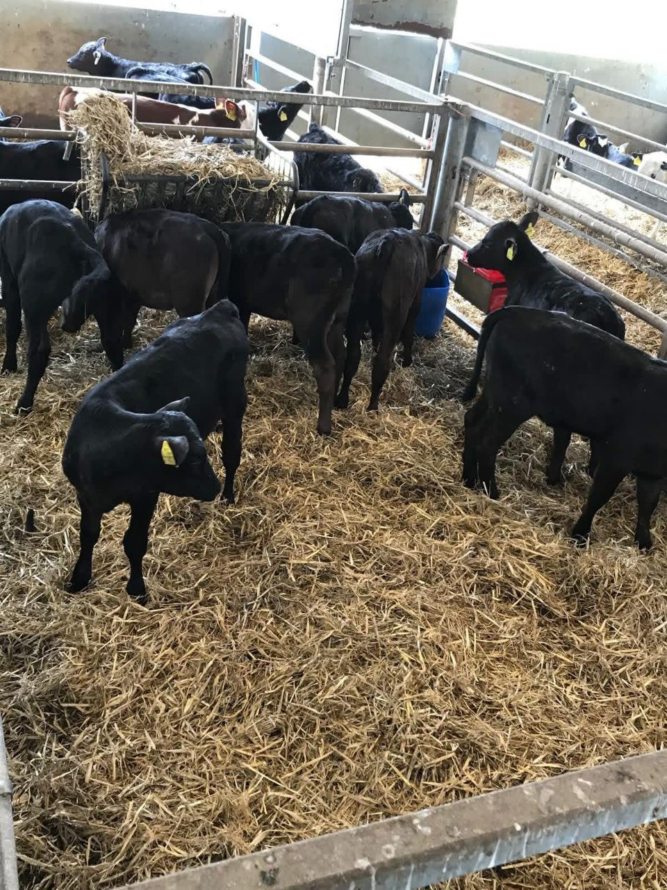 WhatsApp Image 2026-01-23 at 10.00.57