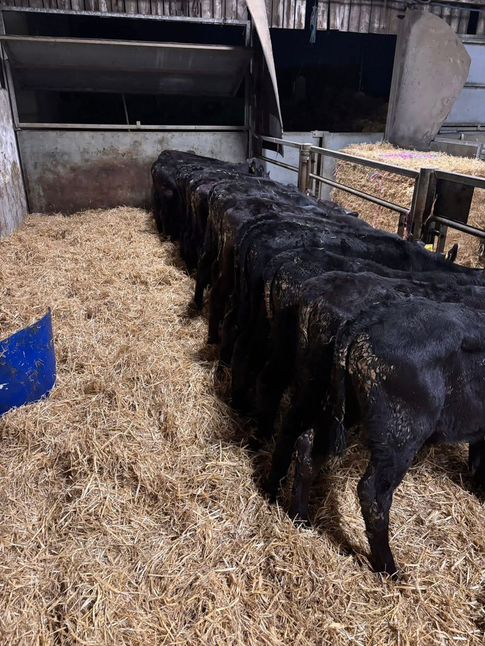 WhatsApp Image 2026-01-23 at 10.11.24