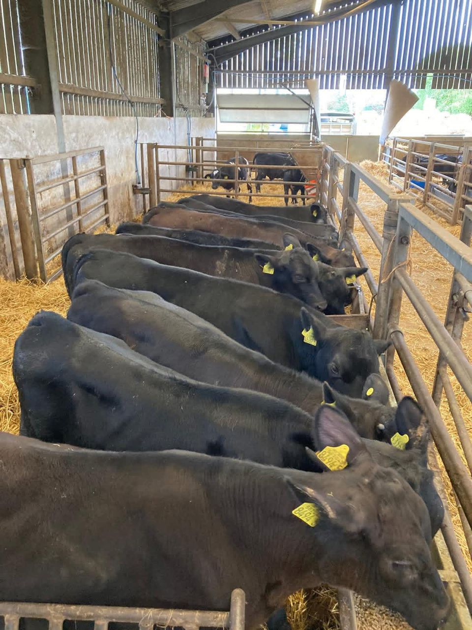 WhatsApp Image 2026-01-23 at 10.11.26