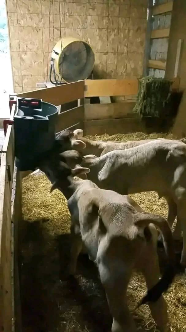 WhatsApp Image 2026-01-23 at 10.13.45