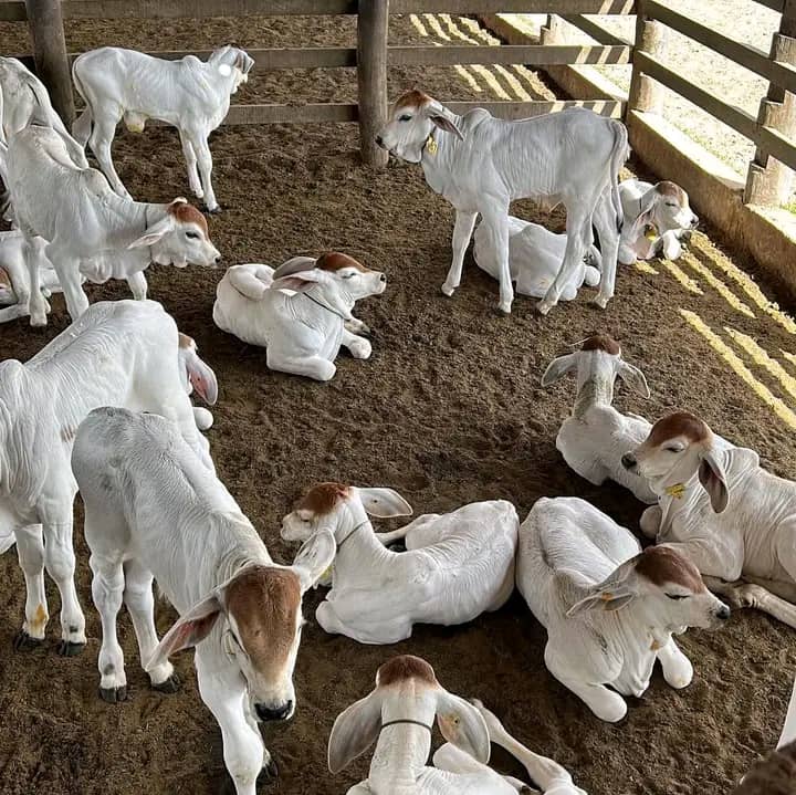 WhatsApp Image 2026-01-23 at 10.16.41