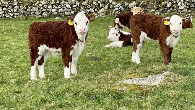 WhatsApp Image 2026-01-23 at 10.18.39