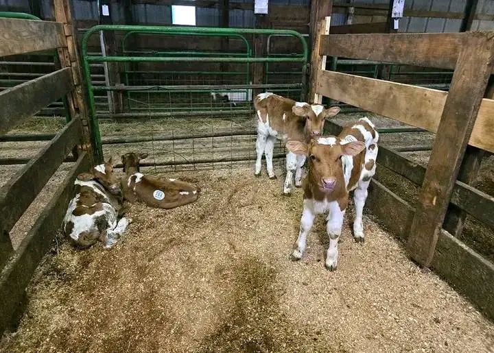 WhatsApp Image 2026-01-23 at 10.19.20 (1)