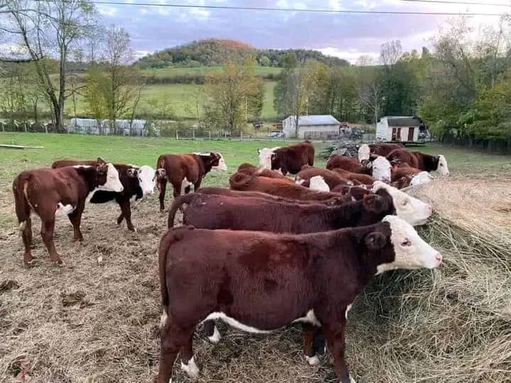 WhatsApp Image 2026-01-23 at 10.23.12 (1)