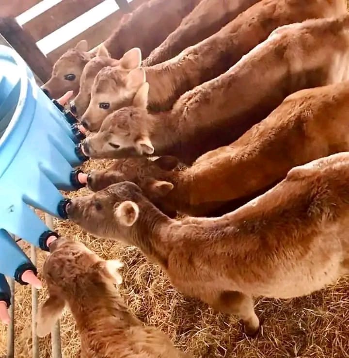 WhatsApp Image 2026-01-23 at 10.25.25