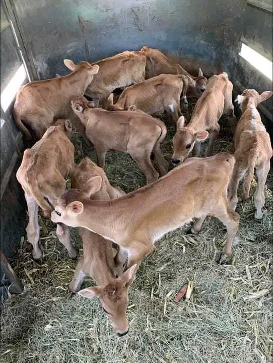 WhatsApp Image 2026-01-23 at 10.25.26 (1)