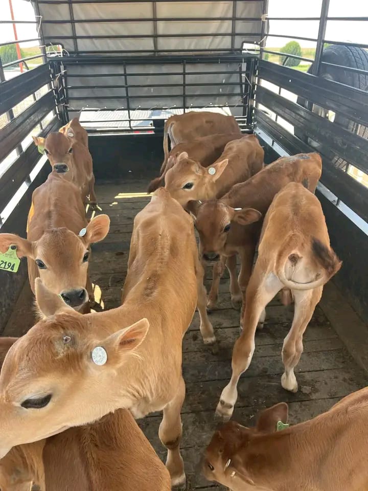 WhatsApp Image 2026-01-23 at 10.25.26