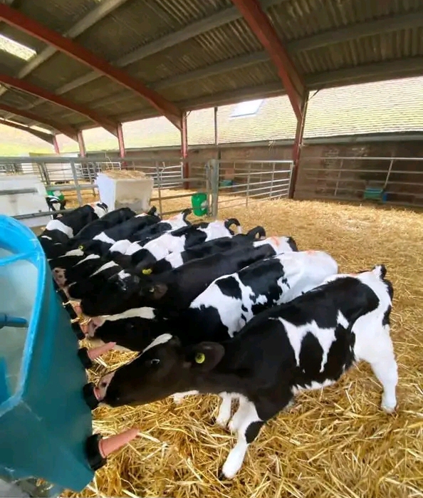 WhatsApp Image 2026-01-23 at 13.07.13