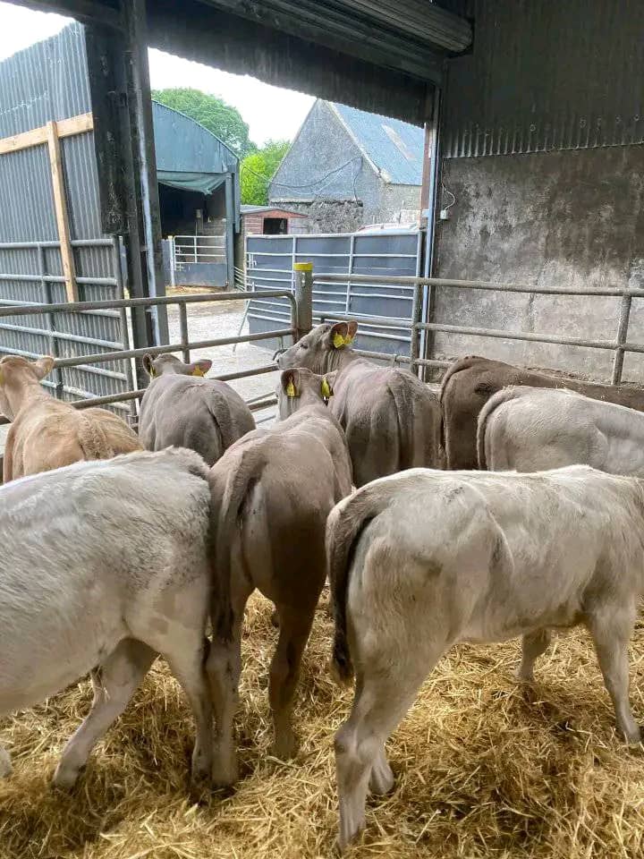 WhatsApp Image 2026-01-23 at 13.08.07 (1)