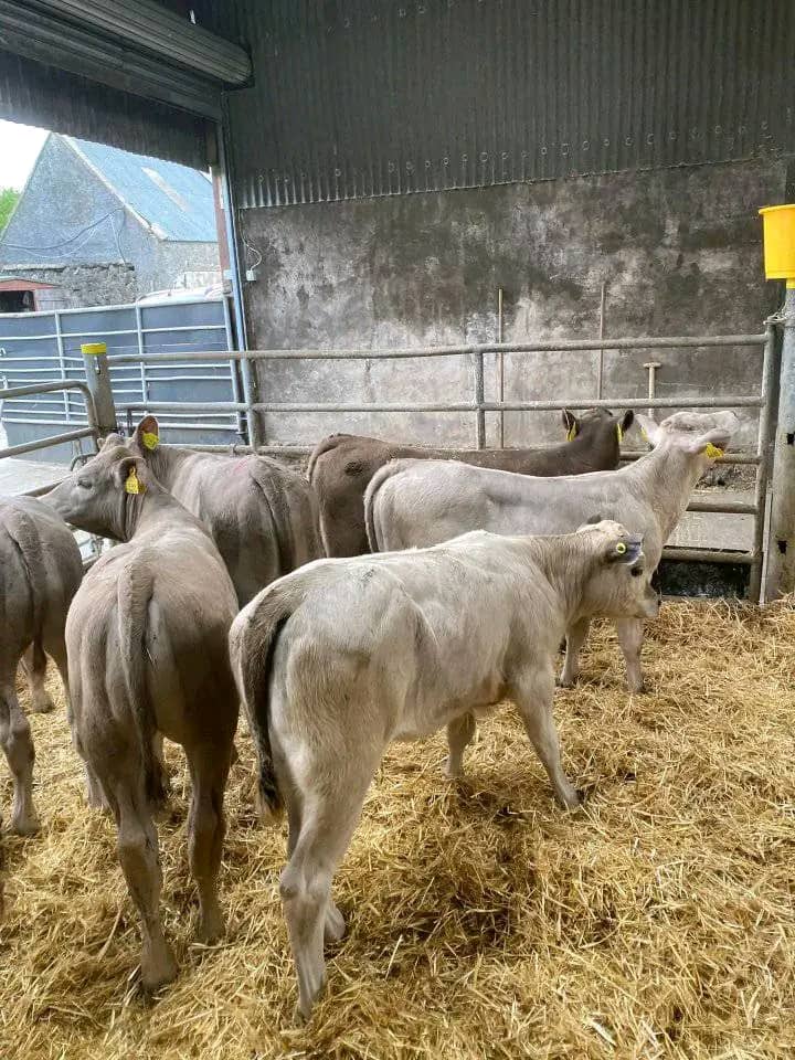 WhatsApp Image 2026-01-23 at 13.08.07