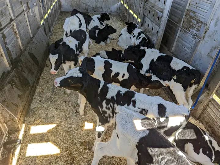 WhatsApp Image 2026-01-26 at 15.57.05