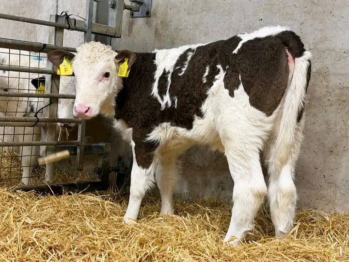 WhatsApp Image 2026-02-02 at 18.10.27 (1)